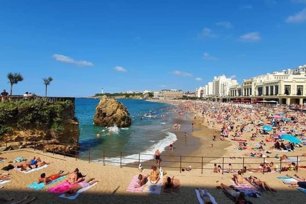 Magnifique T3 - Grande Plage Biarritz Eksteriør billede