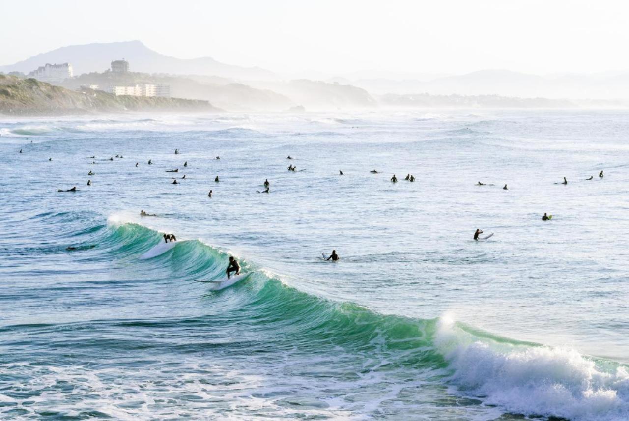 Magnifique T3 - Grande Plage Biarritz Eksteriør billede